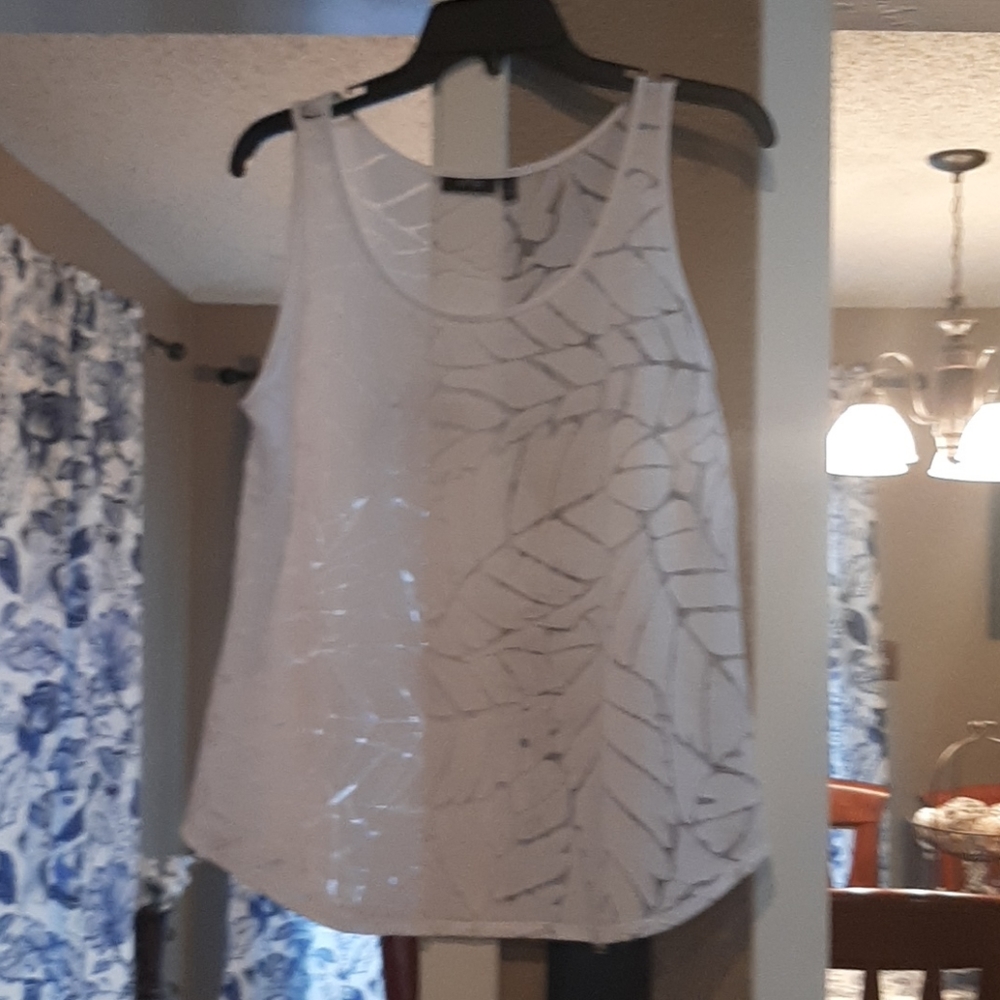 See thru palm leaves